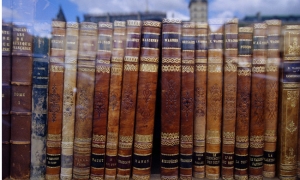 Sobre como desaparece la crítica literaria en Venezuela