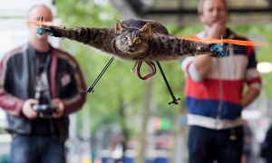 Orville, el gato convertido en helicóptero por su dueño, el &quot;artista&quot; Bart Jansen, derecha, después que lo mató un automóvil.