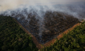 Quema de la selva amazónica para abrir espacios para sembrar en el Estado de Mato Grosso, Brasil.